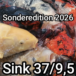 pondware Pure Sink Sonderedition 2026